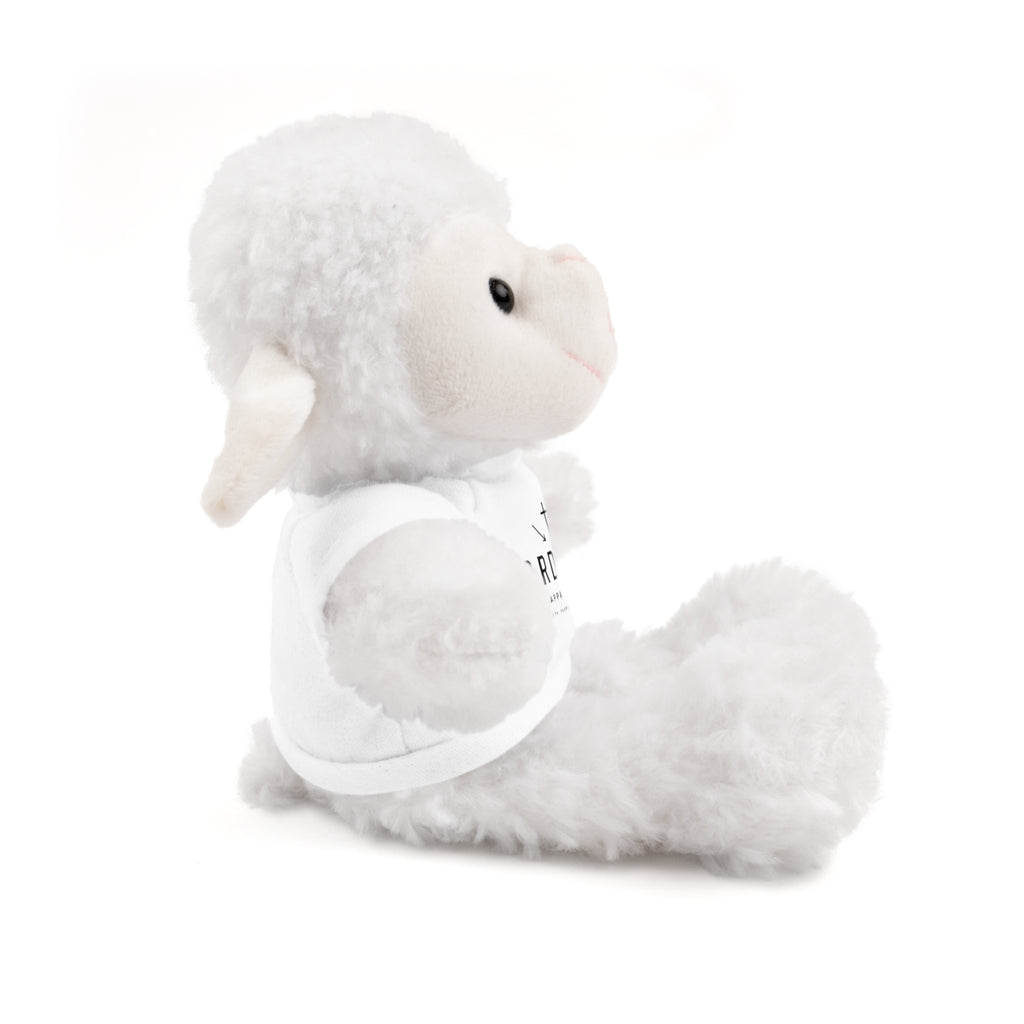 3RD DAY Stuffed Animals with Tee